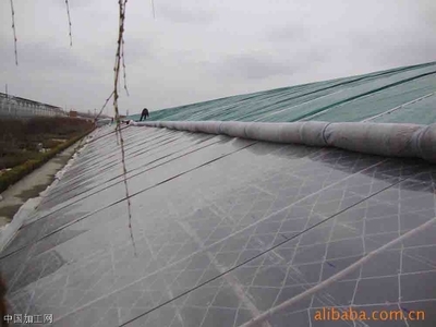 供應潤青PO膜(一潤精品)生產廠家——青州市一潤農膜廠與電子科技的融合創新